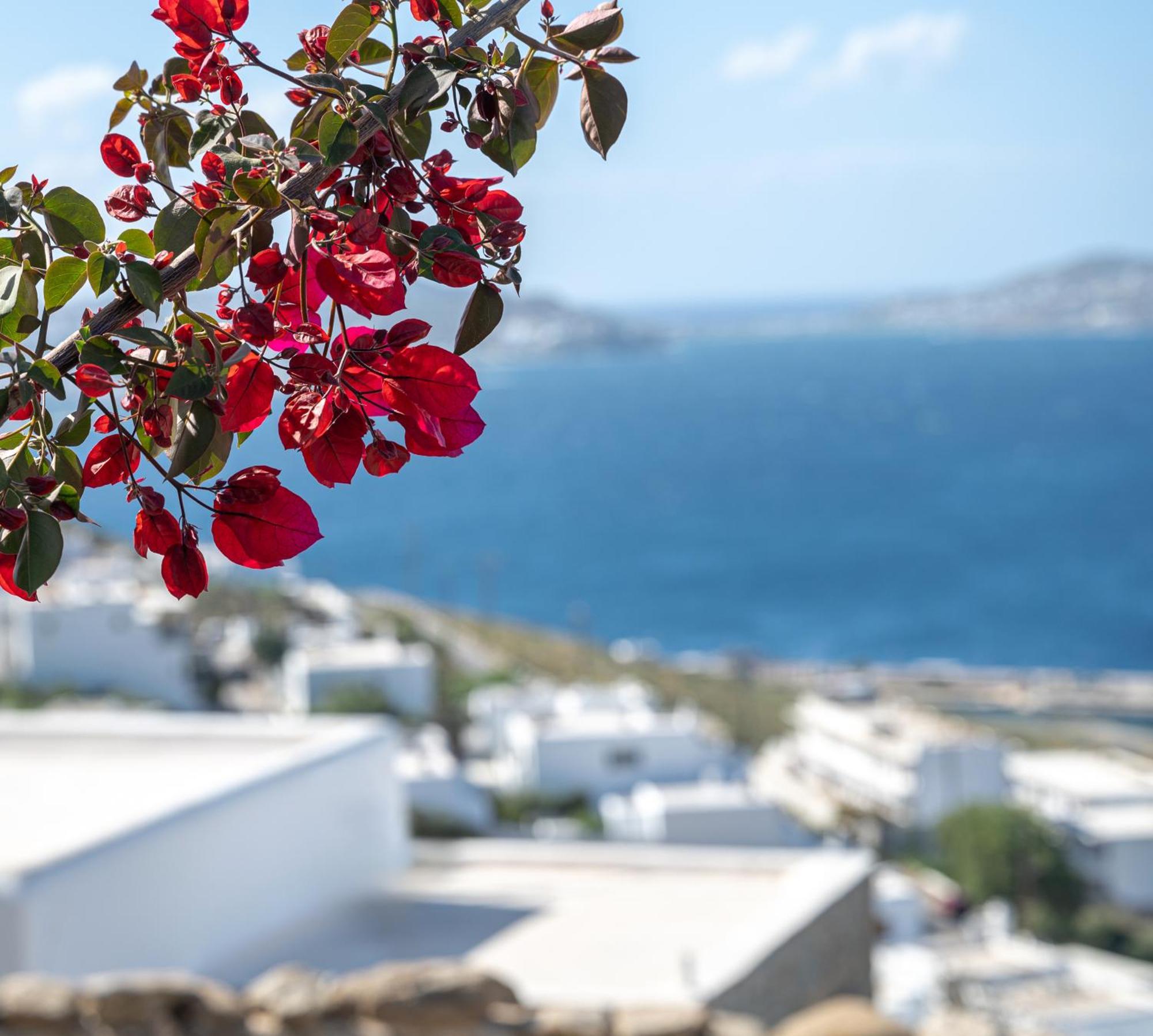 Amelie Suites Mykonos Agios Stefanos  Exterior photo